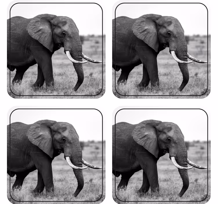 Sous verre bière motif silhouette éléphant - TenStickers