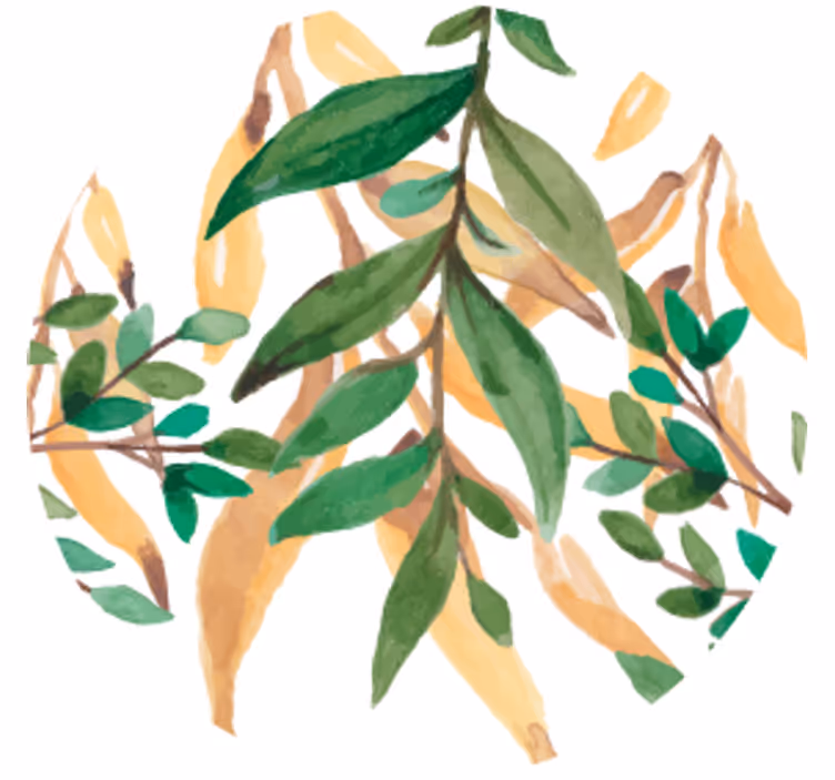 Sous verre bière feuillage vert botanique - TenStickers