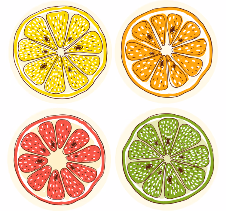 Sous verre bière motifs de tranches d'agrumes - TenStickers