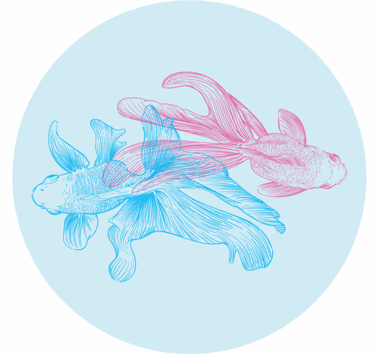 Sous verre bière illustrations de poissons bicolores - TenStickers
