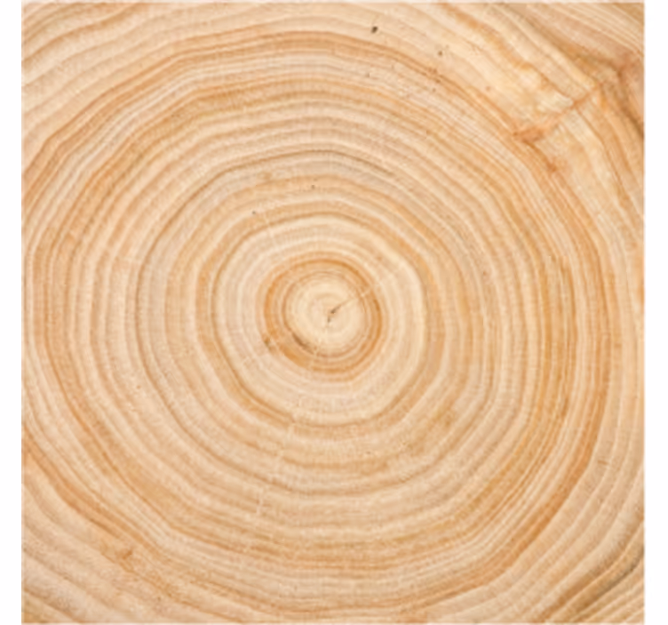 Sous verre cercle effet bois - TenStickers