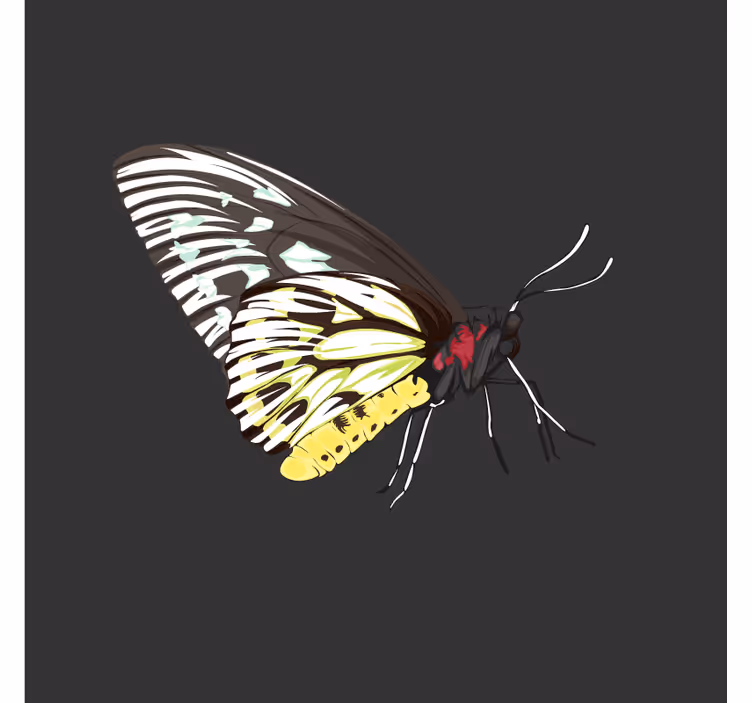Sous verre bière art de papillons colorés - TenStickers