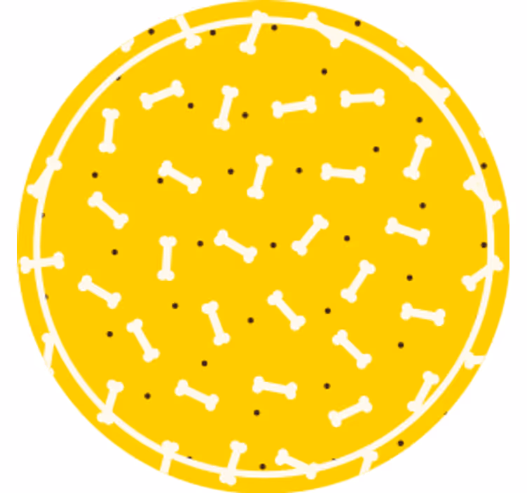 Sous verre bière motif os rond - TenStickers