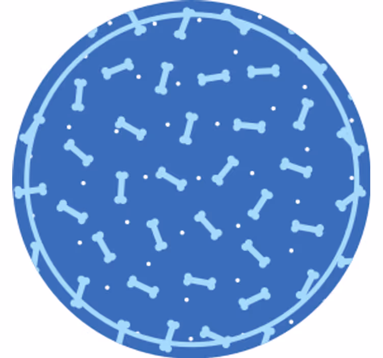 Sous verre motif osseux rond - TenStickers