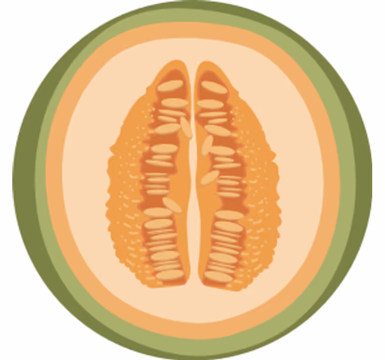 Sous verre bière motifs de tranches de fruits - TenStickers