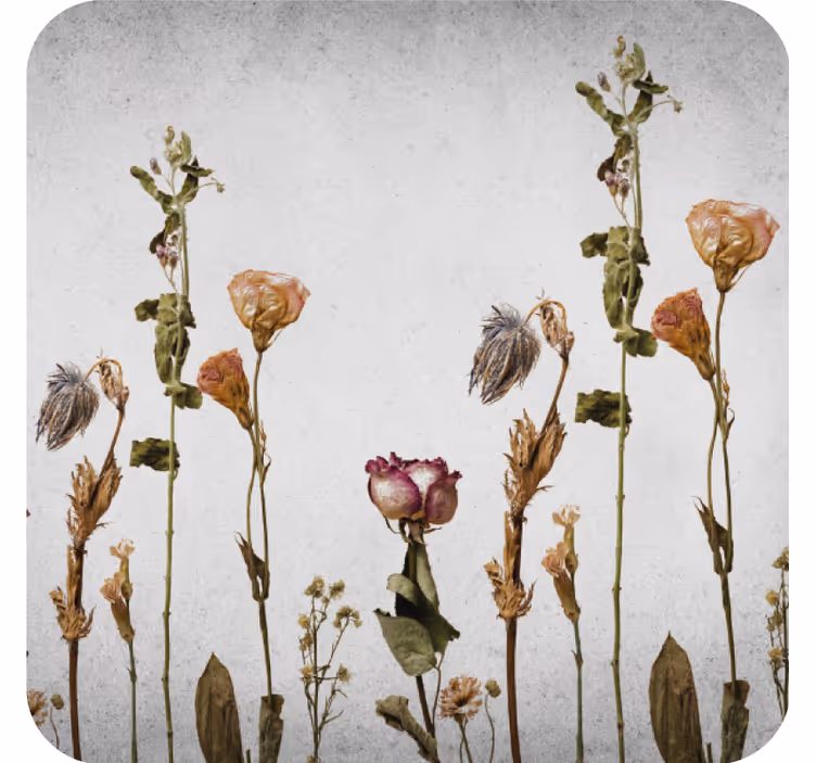 Sous verre arrangement floral séché - TenStickers