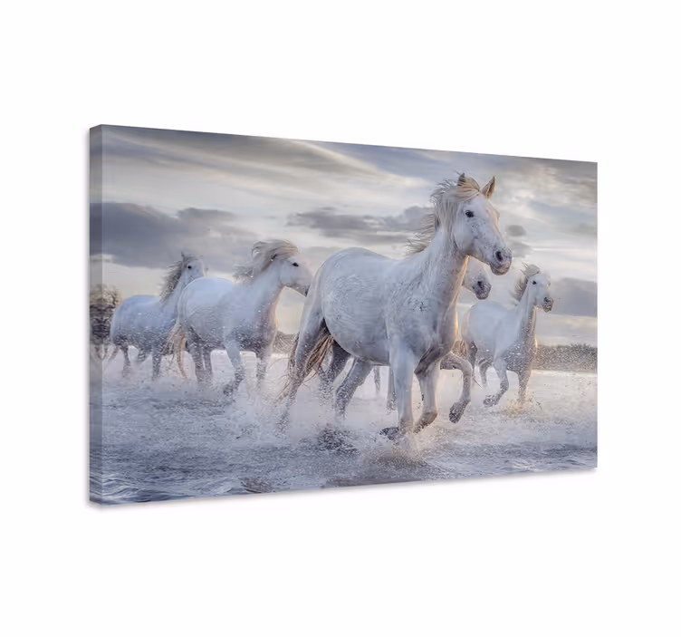 Tableau chevaux fresque de chevaux à l'eau - TenStickers