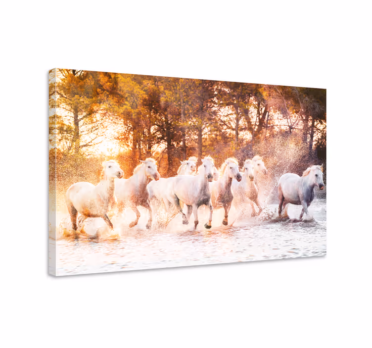 Tableau chevaux vue de chevaux sauvages au coucher de soleil - TenStickers