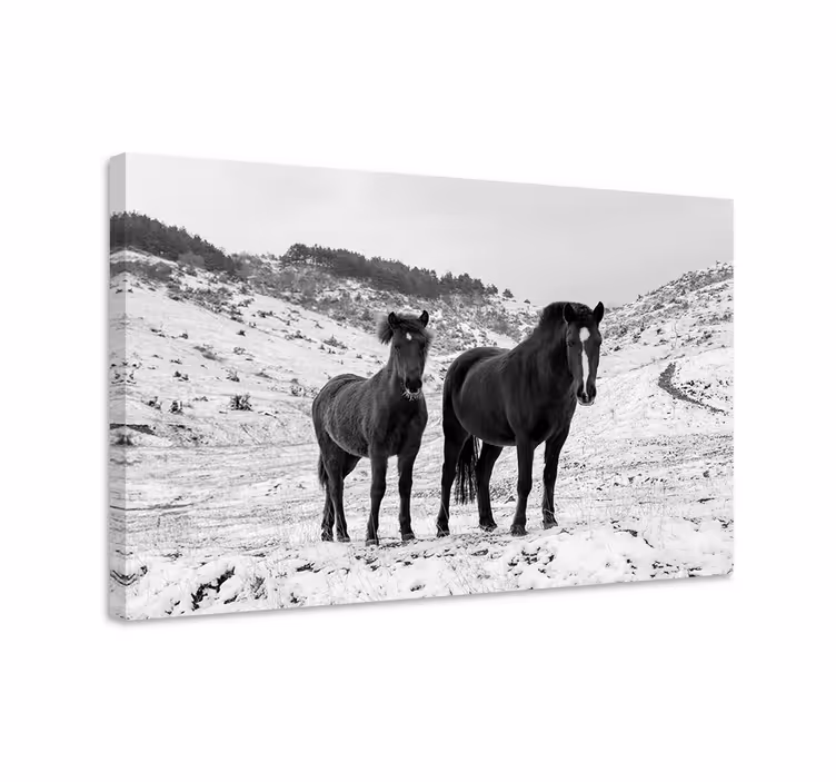 Tableau chevaux chevaux dans la neige - TenStickers