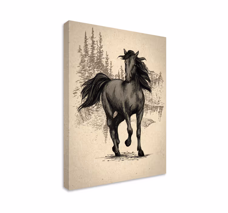 Tableau chevaux à dessiner - TenStickers