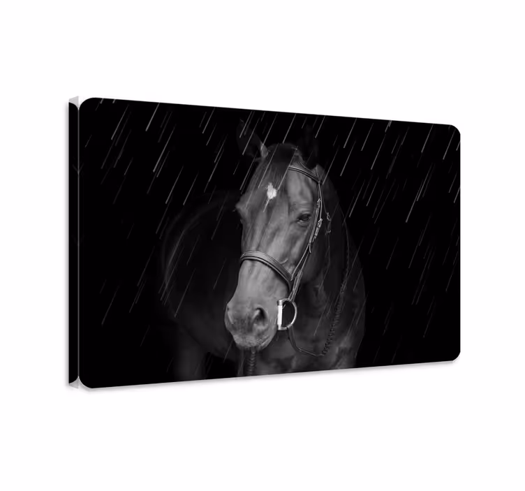 Tableau chevaux cheval digne sous la pluie - TenStickers