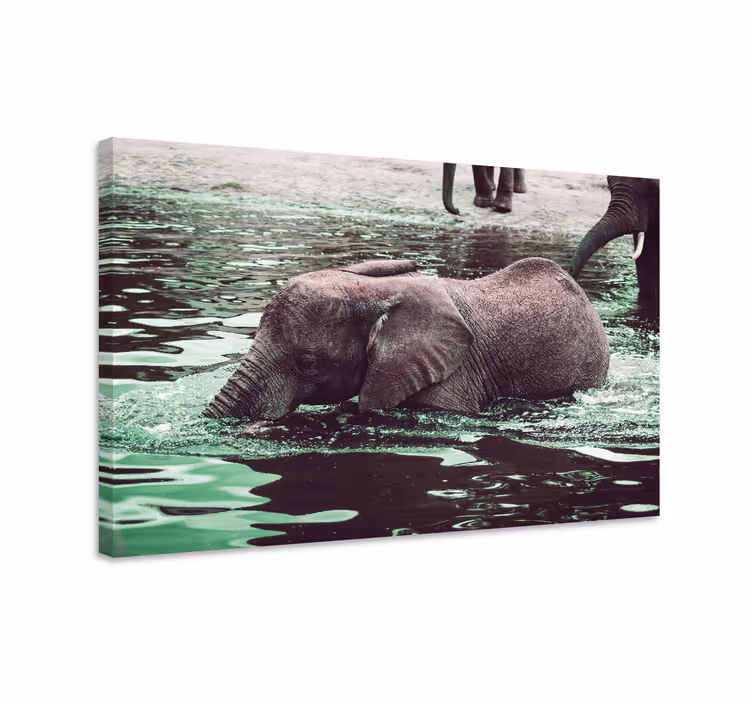 Tableau éléphants bébés éléphants buvant - TenStickers