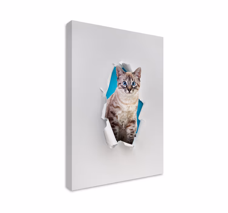 Tableau chat pour les amoureux des chats - TenStickers