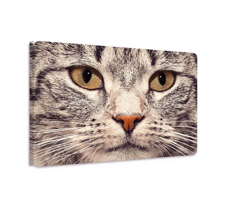 Tableau chat autocollant visage de chat pour portable - TenStickers
