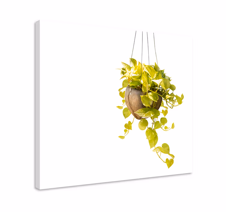 Tableau fleurs et plantes arrangement de feuillage suspendu - TenStickers