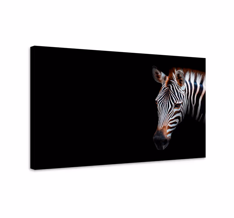 Tableau animaux gros plan sur zèbre - TenStickers