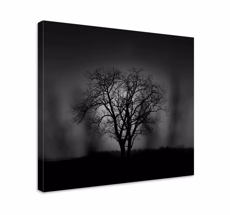 Tableau arbres silhouette d'arbre - TenStickers