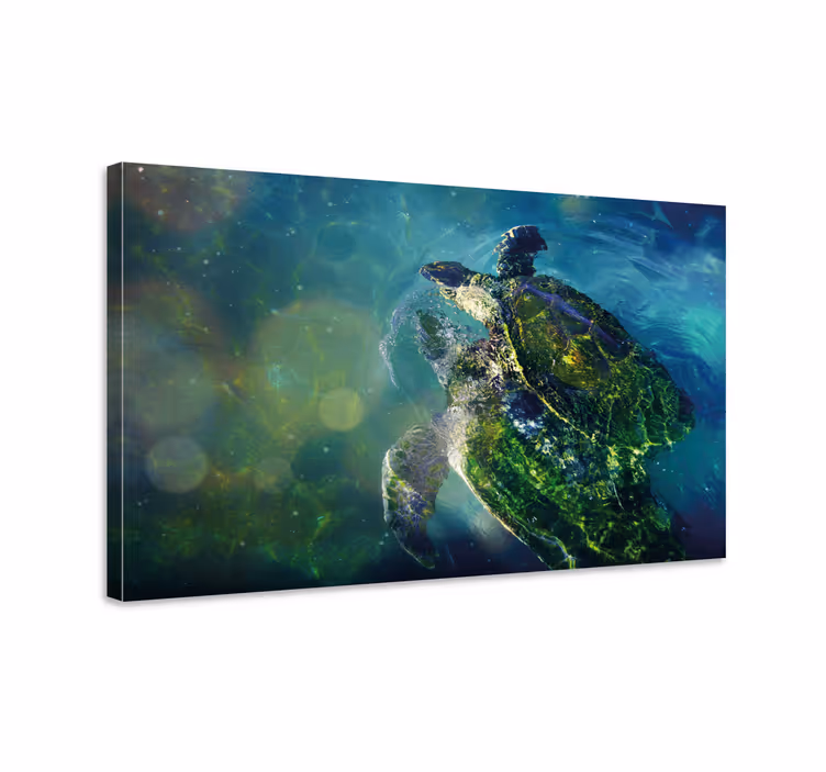 Tableau mer tortue de mer gracieuse - TenStickers