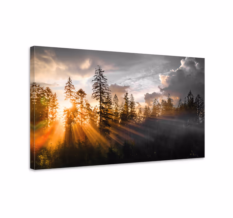 Tableau paysage Forêt avec brouillard et soleil - TenStickers