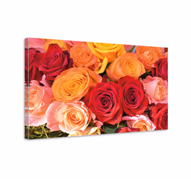 Tableau fleurs Roses rouges et roses orange - TenStickers