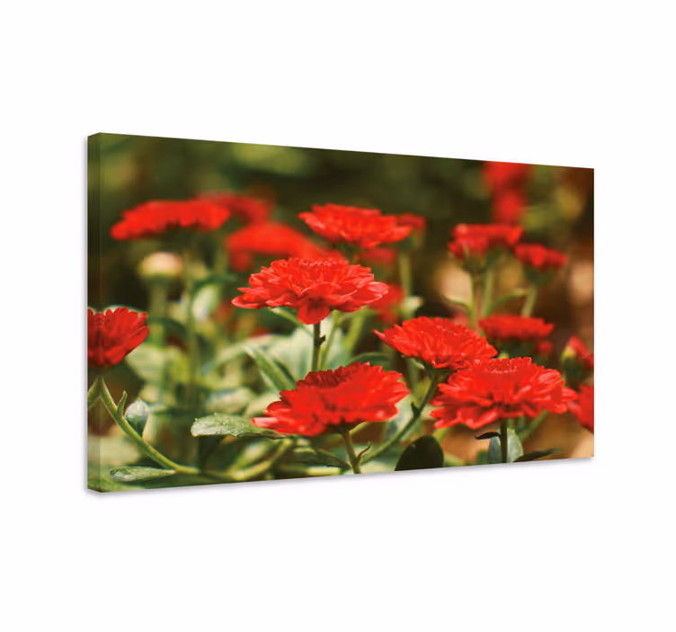 Tableau fleurs et plantes fleurs rouges éclatantes - TenStickers