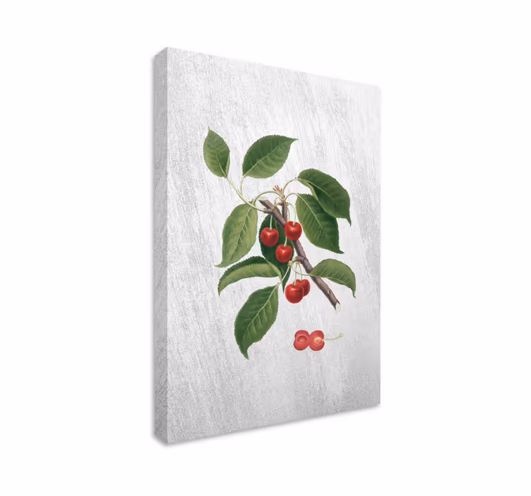 Tableau fruits détail branche cerise - TenStickers