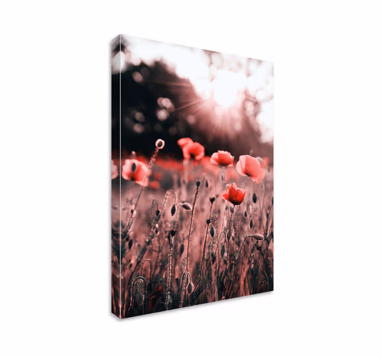 Tableau fleurs et plantes Éclat de coquelicots - TenStickers
