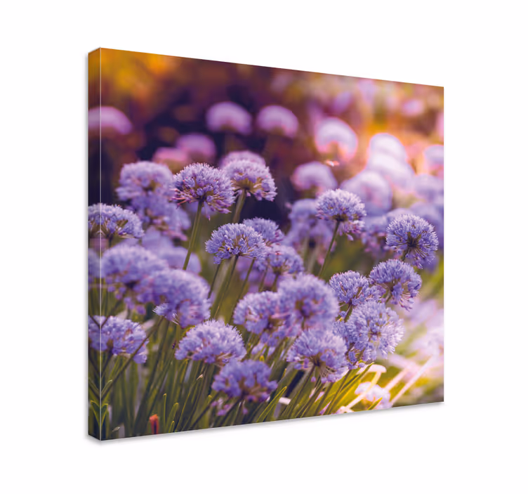 Tableau fleurs et plantes éclosions violettes vibrantes - TenStickers
