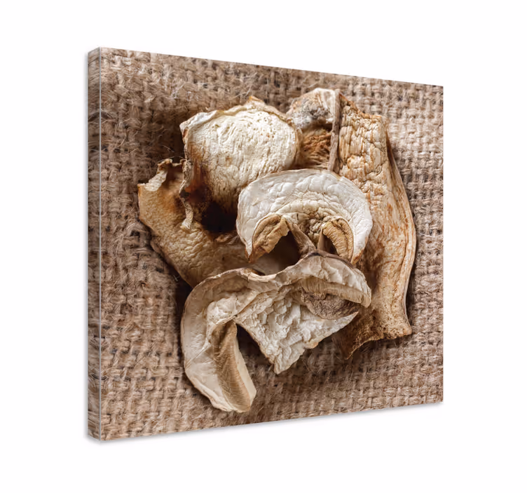 Tableau fleurs et plantes arrangement de champignons secs - TenStickers