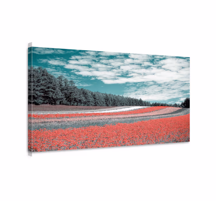 Tableau paysages champ de fleurs éclatant - TenStickers