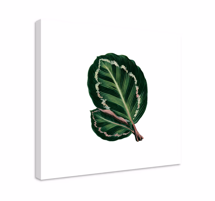 Tableau fleurs et plantes design grandes feuilles - TenStickers