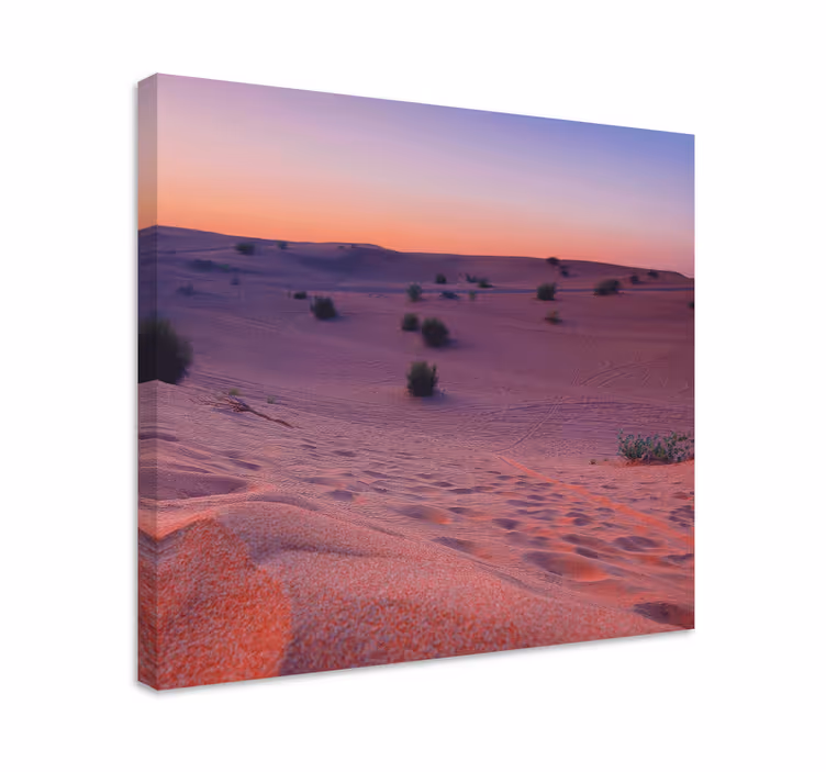 Tableau paysages dunes de désert sérénité - TenStickers