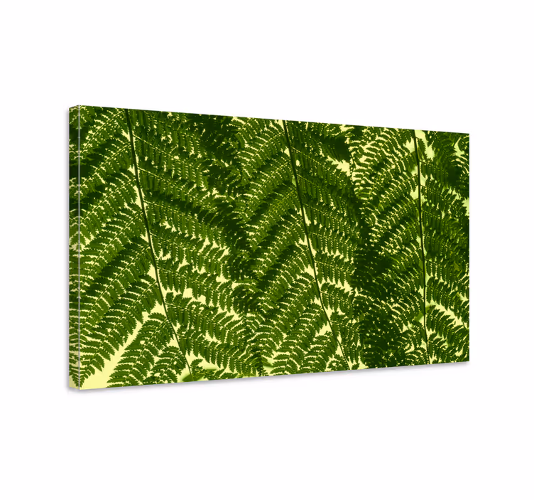 Tableau fleurs et plantes feuilles de fougère - TenStickers