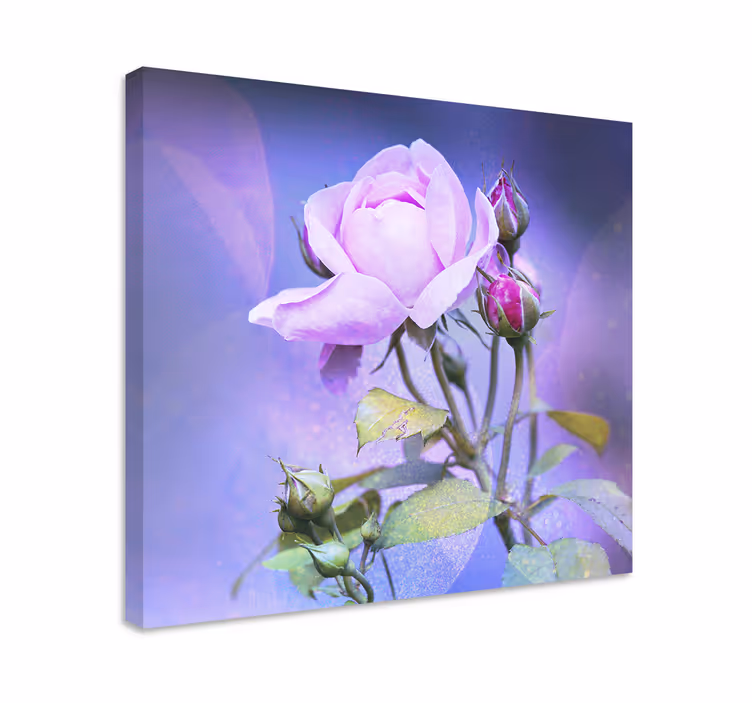 Tableau fleurs et plantes rose en pleine floraison - TenStickers