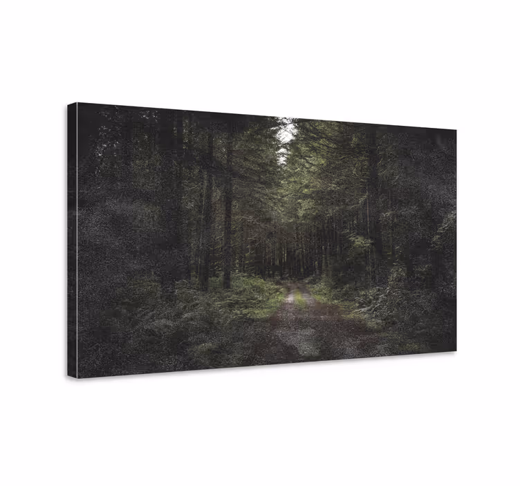 Tableau paysages chemin forestier de sérénité - TenStickers