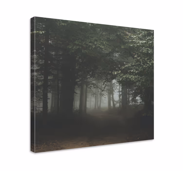 Tableau paysages sentier boisé voilé - TenStickers