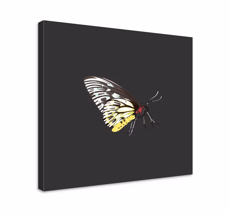 Tableau papillons profil élégant de papillon - TenStickers