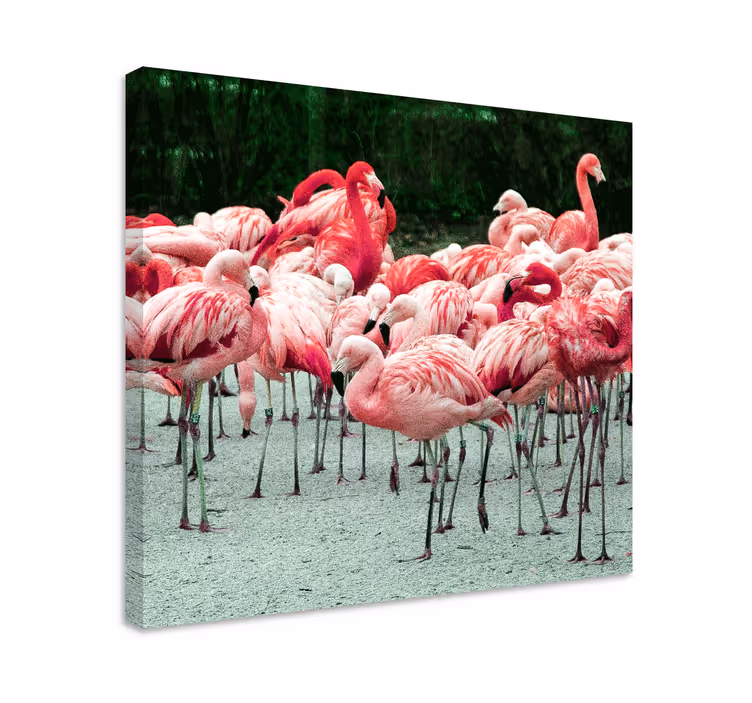 Tableau oiseaux flamants roses en vol - TenStickers