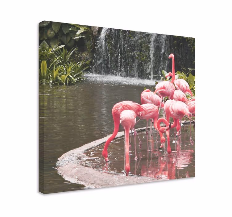 Tableau oiseaux flamants au bord de la piscine - TenStickers
