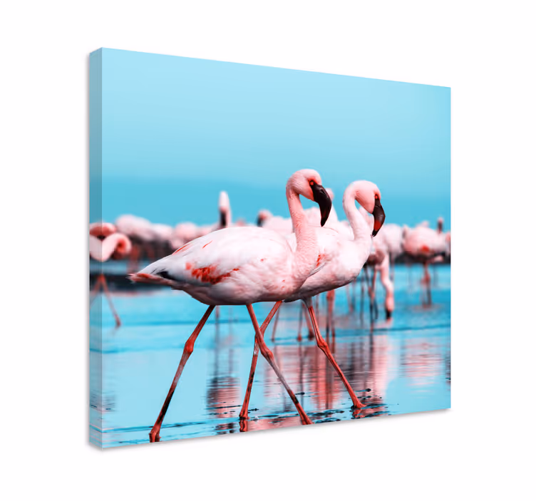 Tableau oiseaux flamants roses majestueux - TenStickers