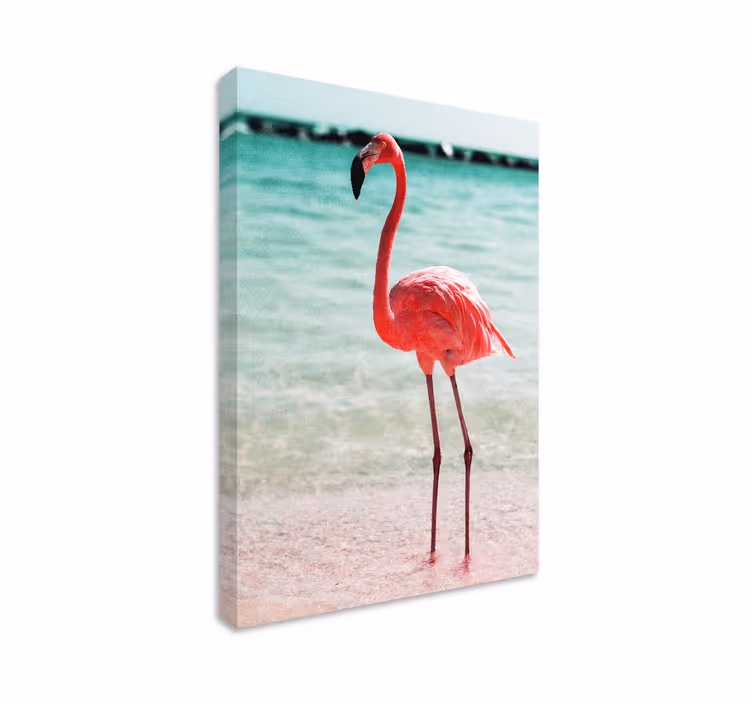 Tableau oiseaux pose élégante de flamant - TenStickers