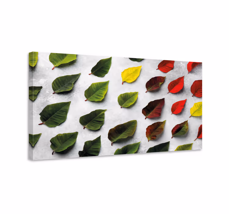 Tableau fleurs et plantes collection de feuilles variées - TenStickers