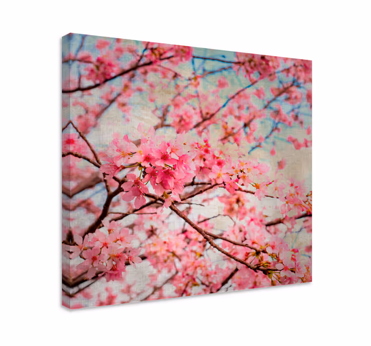 Tableau fleurs et plantes fleurs de cerisier - TenStickers