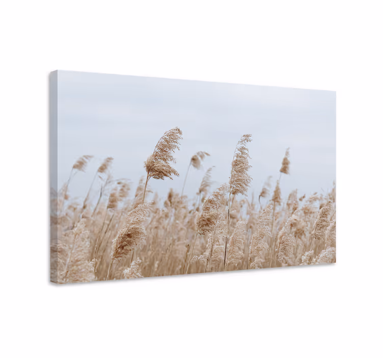 Tableau fleurs et plantes brise douce de gazon - TenStickers