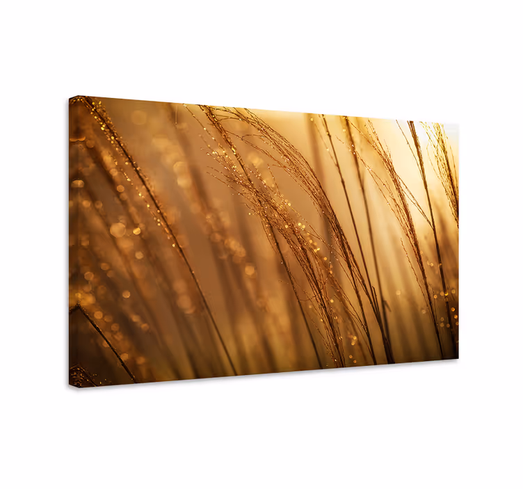 Tableau fleurs et plantes texture de herbe dorée - TenStickers