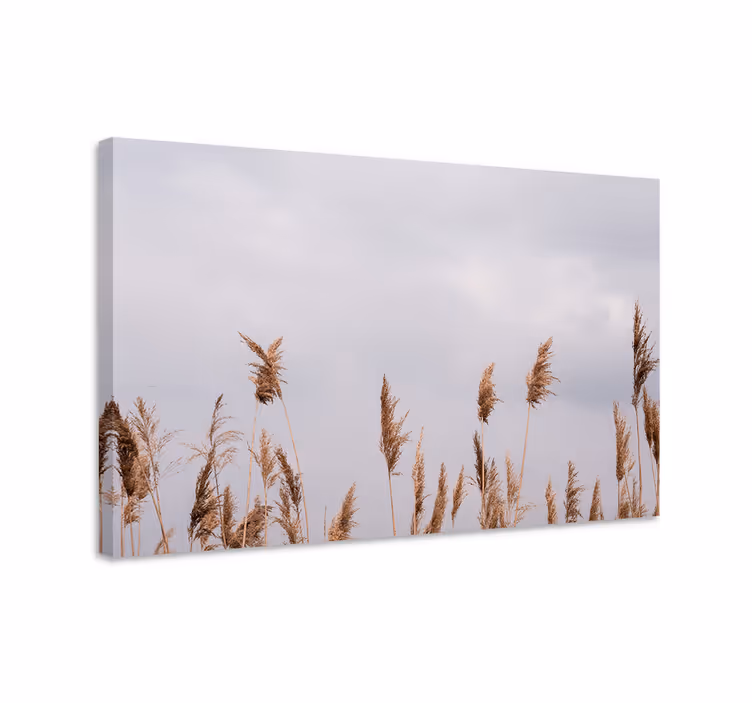 Tableau fleurs et plantes brins d'herbe élevés - TenStickers