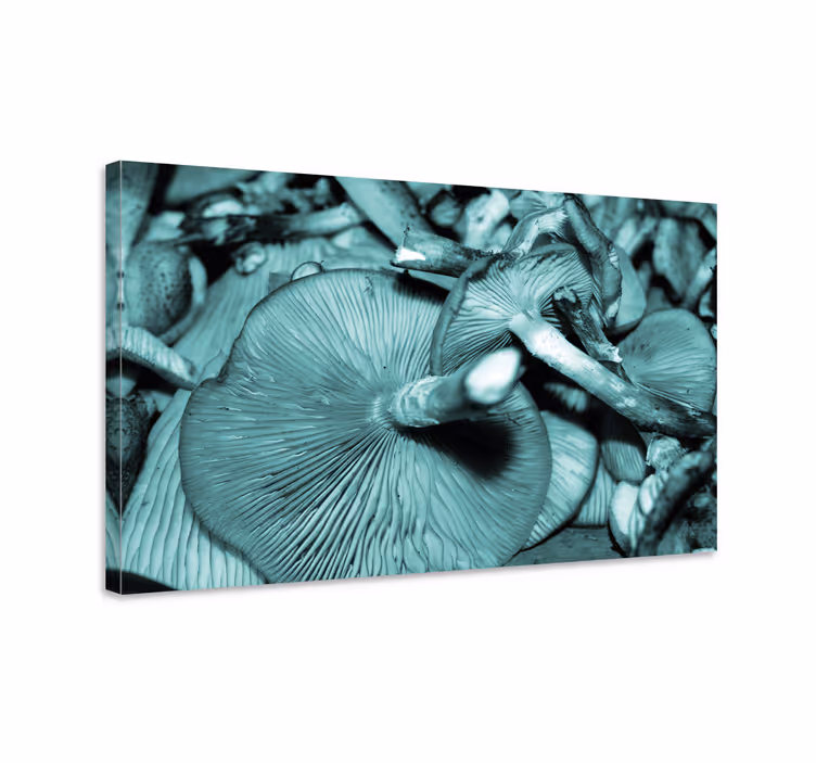 Tableau fleurs et plantes croissance des champignons - TenStickers