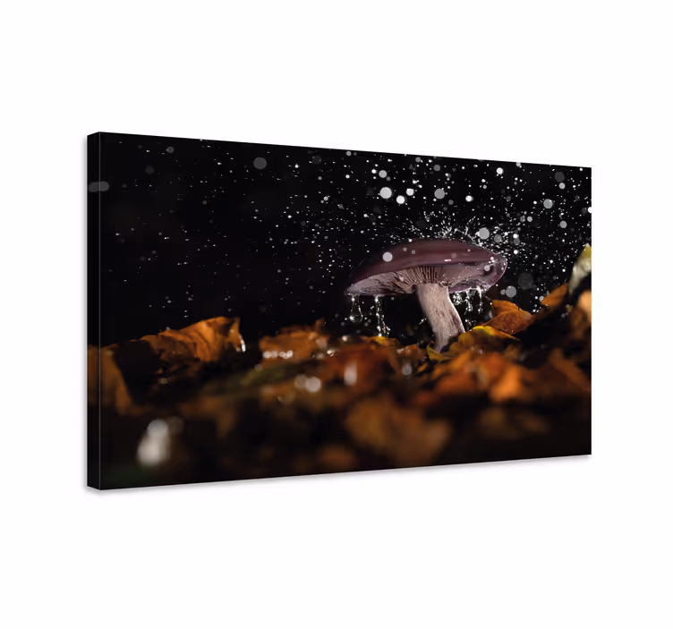 Tableau fleurs et plantes Éclaboussure de champignons - TenStickers