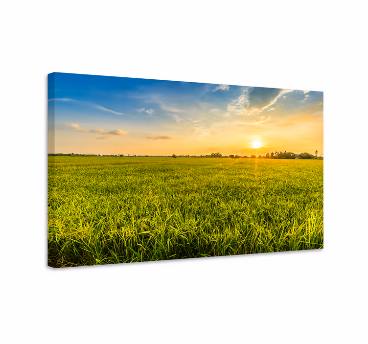 Tableau paysages coucher de soleil sur les champs - TenStickers