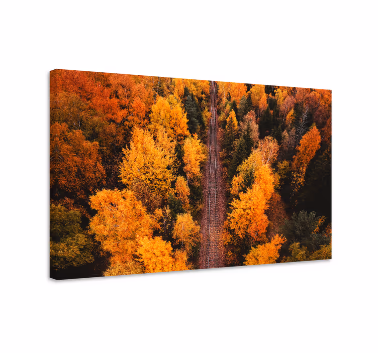 Tableau paysages chemin de feuillage d'automne - TenStickers